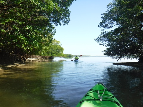 paddle Rookery Bay, Shell Point Paddling Trail