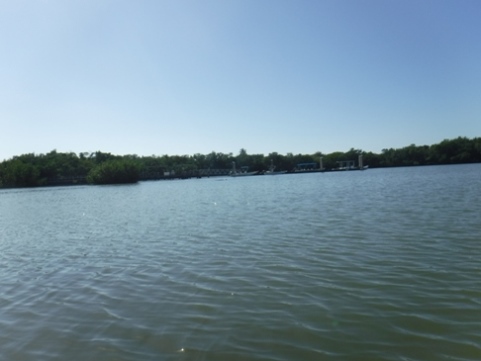 paddle Rookery Bay, Shell Point Paddling Trail