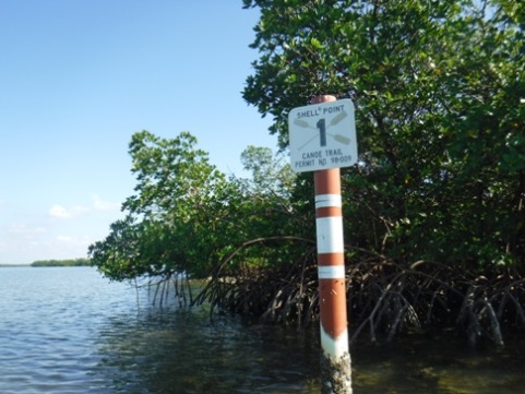 paddle Rookery Bay, Shell Point Paddling Trail