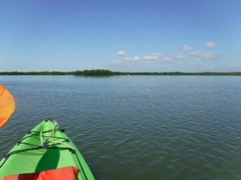 paddle Rookery Bay, Shell Point Paddling Trail