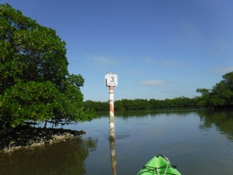 paddle Rookery Bay, Shell Point Paddling Trail