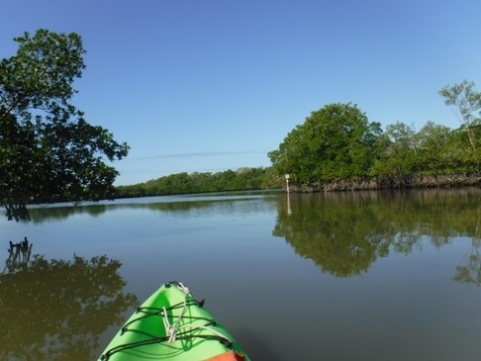 paddle Rookery Bay, Shell Point Paddling Trail