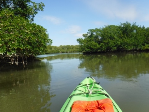 paddle Rookery Bay, Shell Point Paddling Trail