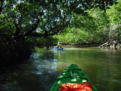 paddle Rookery Bay, Shell Point Paddling Trail