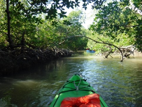 paddle Rookery Bay, Shell Point Paddling Trail