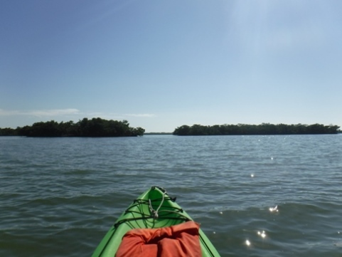 paddle Rookery Bay, Shell Point Paddling Trail