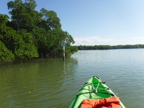 paddle Rookery Bay, Shell Point Paddling Trail