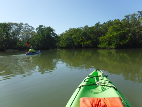 paddle Rookery Bay, Shell Point Paddling Trail