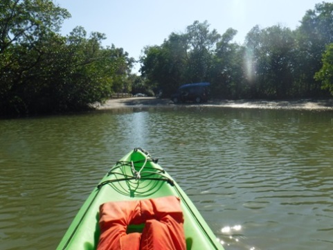 paddle Rookery Bay, Shell Point Paddling Trail