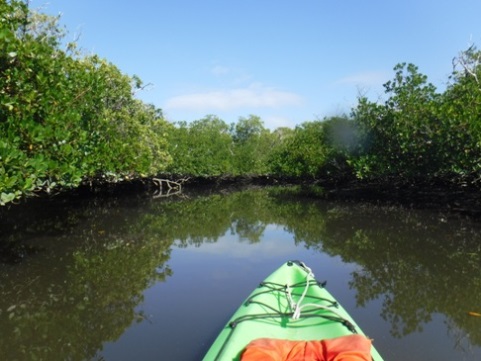 paddle Rookery Bay, Shell Point Paddling Trail