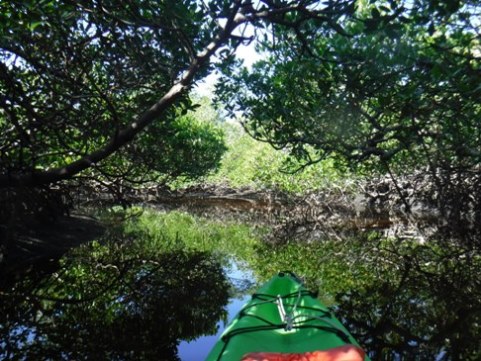 paddle Rookery Bay, Shell Point Paddling Trail