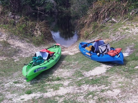 paddle Shell Creek, south Florida