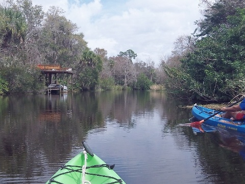 paddle Shell Creek, south Florida