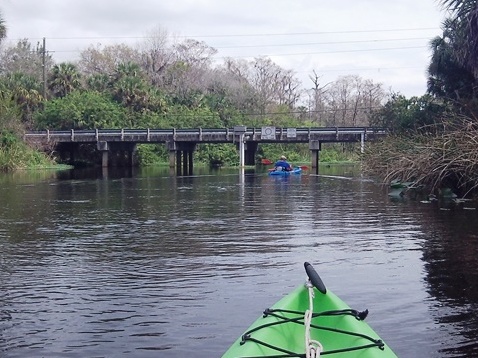 paddle Shell Creek, south Florida