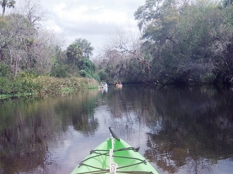 paddle Shell Creek, south Florida