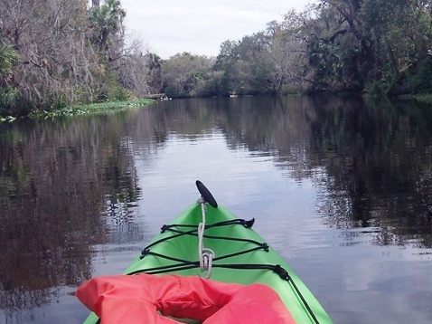 paddle Shell Creek, south Florida