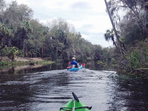 paddle Shell Creek, south Florida