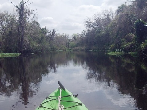 paddle Shell Creek, south Florida