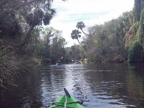 paddle Shell Creek, south Florida