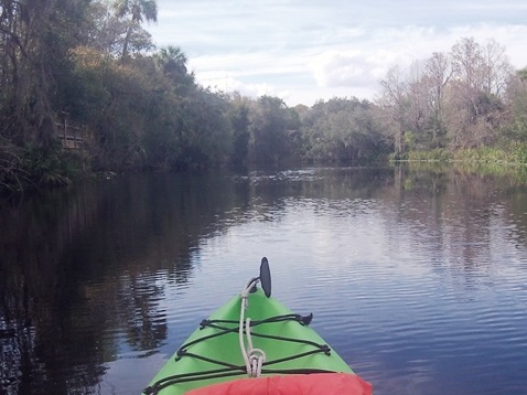 paddle Shell Creek, south Florida