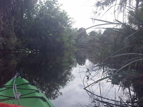 paddle Shell Creek, south Florida