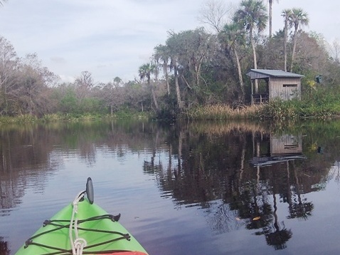 paddle Shell Creek, south Florida