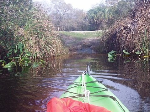 paddle Shell Creek, south Florida